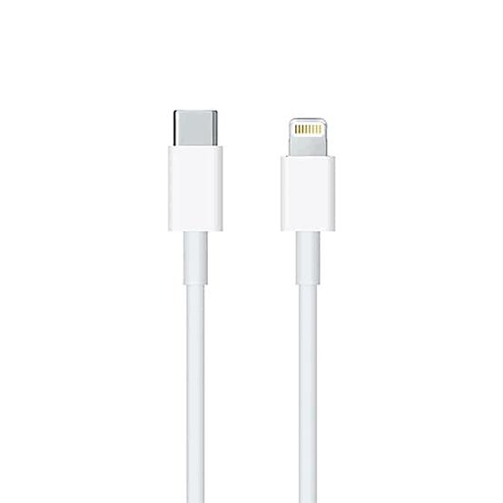 USB-C to Lightning cable (1 M)